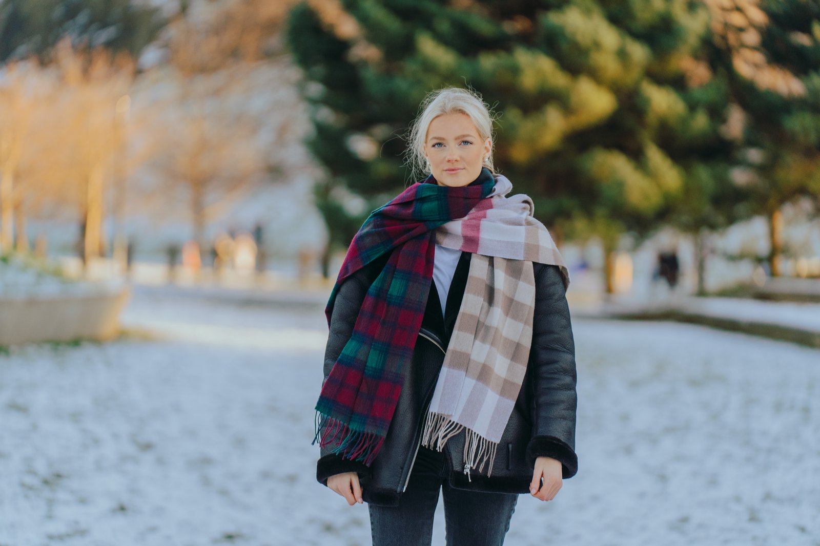 Premium Clan Scarves for Heritage Celebrations